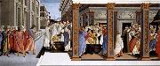 BOTTICELLI, Sandro Baptism of St Zenobius and His Appointment as Bishop France oil painting artist